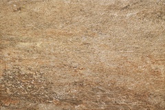 Oyster Beige XX |40x60