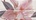 Decor Duo Blanco Flor 1 XX |32.5x60