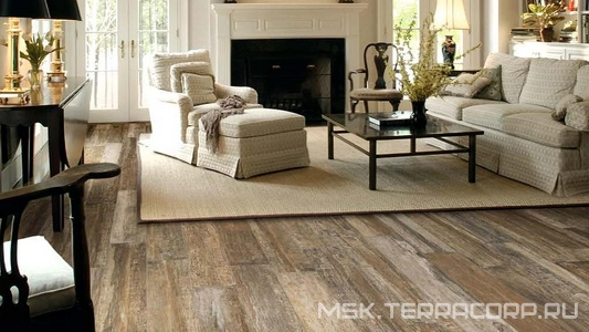 Коллекция Cortex