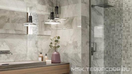 Коллекция Rex