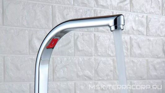 Коллекция V