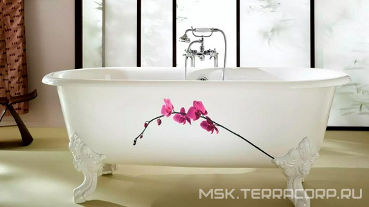 Коллекция Revival