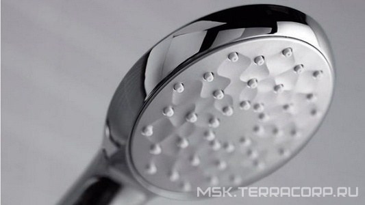 Коллекция Awaken