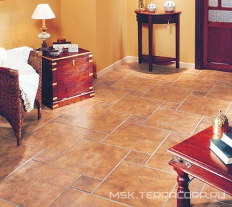 Коллекция Ter Maiz