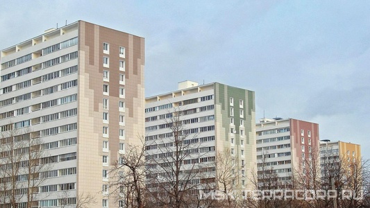Коллекция Standart