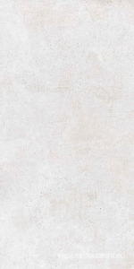 Керамогранит для пола и стены Zerde Scorpia  silver matte 60x120 n189986