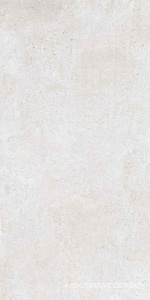 Керамогранит для пола и стены Zerde Scorpia  silver matte 60x120 n189986