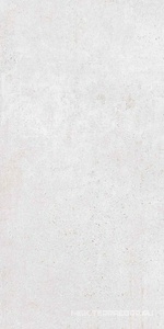 Керамогранит для пола и стены Zerde Scorpia  silver matte 60x120 n189986