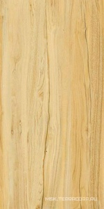 Керамогранит для пола и стены Kerranova Alleya  2101  Структурированный 60x120 K-2101/SR/600x1200x10