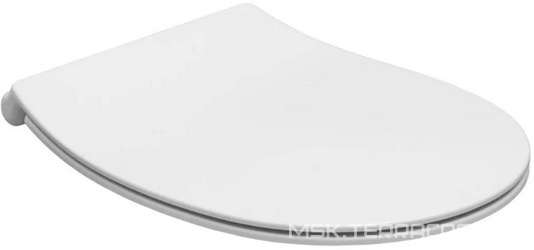 Сиденье для унитаза, с микролифтом, (цв.белый матовый), Fantasy ZZ