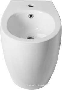 Биде напольное 363х520хh400мм, 1 отв.для смесит., крепёж в компл.,  ZZ Allen Brau Fantasy 4.11008.20