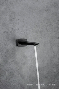 Излив для набора воды в ванну, встраиваемый в стену, 173мм, (цв.черный матовый),  ZZ Allen Brau Infinity 5.21020-31