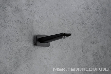 Излив для набора воды в ванну, встраиваемый в стену, 173мм, (цв.черный матовый),  ZZ Allen Brau Infinity 5.21020-31