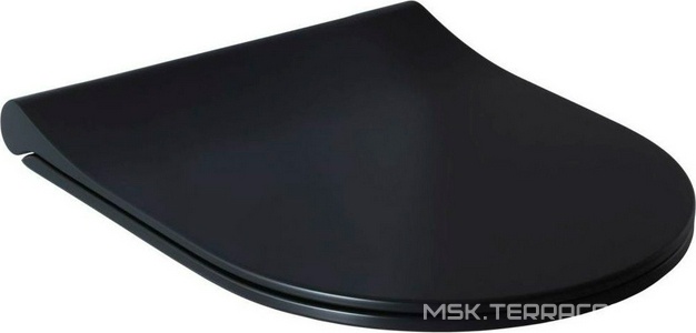 Сиденье для унитаза, с микролифтом, (цв.черный матовый),  ZZ Allen Brau Priority 4.31004.31