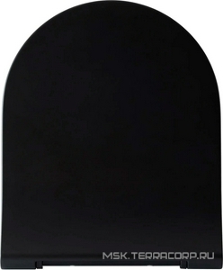 Сиденье для унитаза, с микролифтом, (цв.черный матовый),  ZZ Allen Brau Priority 4.31004.31