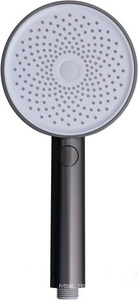 Лейка д/д ручная, 3 режима, (пластик цв.графит браш.),  ZZ Allen Brau Priority 5.31B20-MG