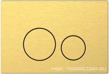 Кнопка двойного смыва, пневм., для инсталляции д/унитаза, (цв.золото браш.), Priority 4.0