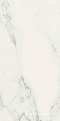 Stone Calacatta Smooth Rett. ZZ 60x120