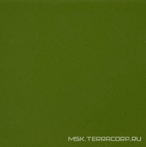 Керамическая плитка для стены Axima Вегас Плитка обл.  зеленая матовая 20x20 n185752