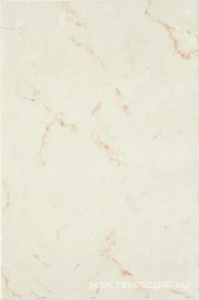 Керамическая плитка для стены Axima Вечер Плитка обл. -1 20x30 n185818