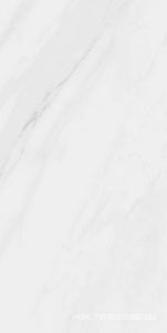 Керамогранит для пола и стены Pamesa CR Lenci Lenci Blanco lev Rect. (п.п.) 60x120 n077712