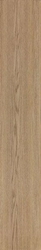 Treverk Teak ZZ |20x120