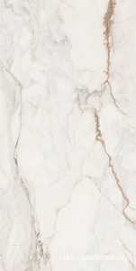 Керамогранит для пола и стены Pamesa CR Pisa  Gold Leviglass 60X120 n087370