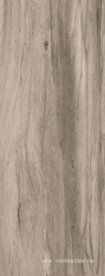 Сeylan Gris Rec NPLus ZZ |45x118