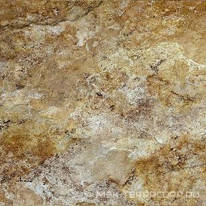 Керамогранит для пола и стены ProGRES Ceramica Savage  коричневый светлый 60х60 GSR0072