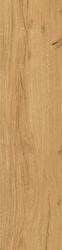 Feelwood Cognac  ZZ 30x120