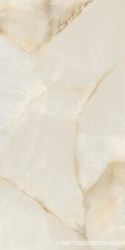 FENIX Crema rett Leviglass (п.п.) ZZ |60x120