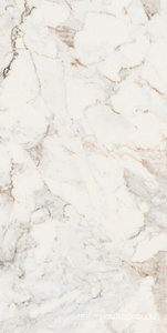 Керамогранит для пола и стены Pamesa CR Pisa  Gold Compglass (п.п.)ZZ 60X120 17.869.189.0145