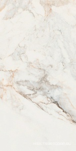 Керамогранит для пола и стены Pamesa CR Pisa  Gold Compglass (п.п.)ZZ 60X120 17.869.189.0145