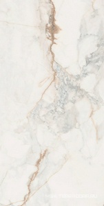 Керамогранит для пола и стены Pamesa CR Pisa  Gold Compglass (п.п.)ZZ 60X120 17.869.189.0145