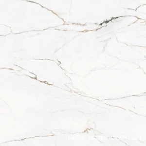 Керамогранит для пола и стены Pamesa CR.Torano Cr.Torano Dorado pol/rett  (п.п.) ZZ120x120 004.120.0103.09878