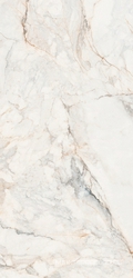 Cr.Pisa Lux 6 мм pol/rett  |120X260 XX