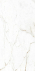 Cr.Torano Dorado Compacglass |60x120