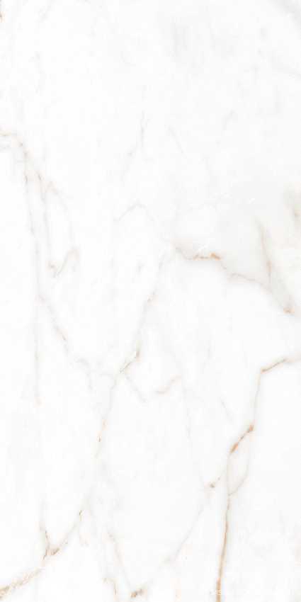 Cr.Torano Dorado Compacglass |60x120
