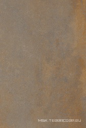 Enrich Brown (Rustin) 2 cm (от 300 кв.м)  ZZ 60x90