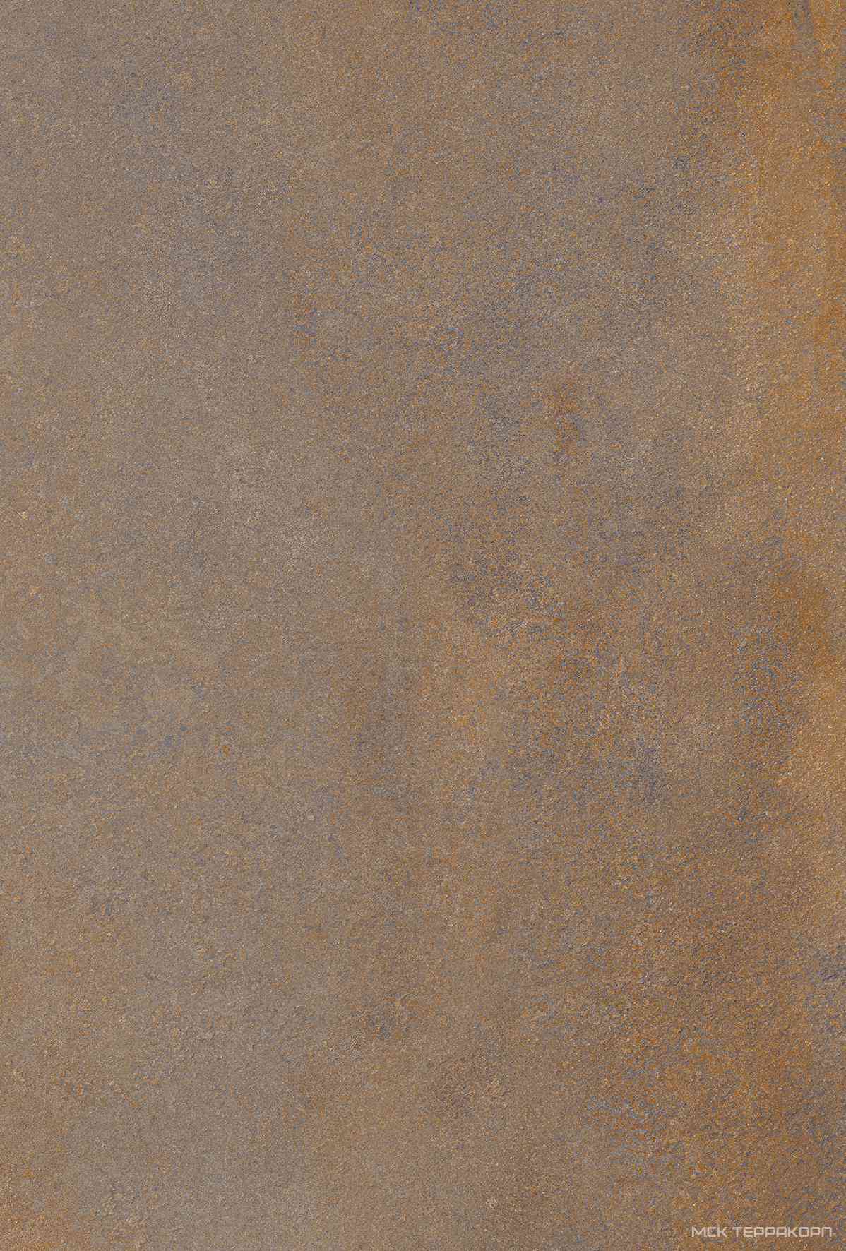Enrich Brown (Rustin) 2 cm (от 300 кв.м)  ZZ 60x90