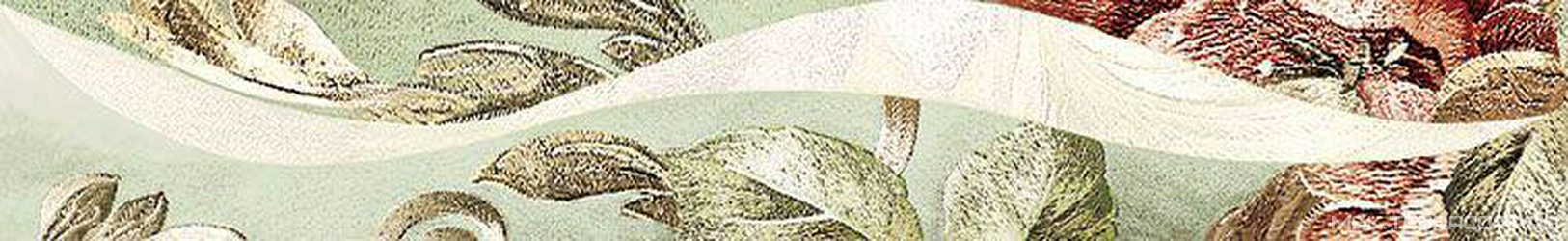 Бордюр Триоль  "Ноктюрн" Верде ХХ|6.2х40.5