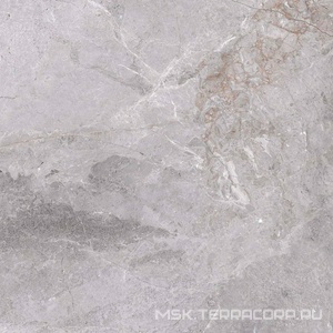 Керамогранит для пола и стены Zerde Fior  di bosko grey 60x60 00000006260