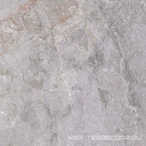 Керамогранит для пола и стены Zerde Fior  di bosko grey 60x60 00000006260