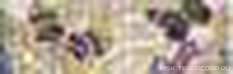 Бордюр Фридом 1 бежевыйZZ l8х25