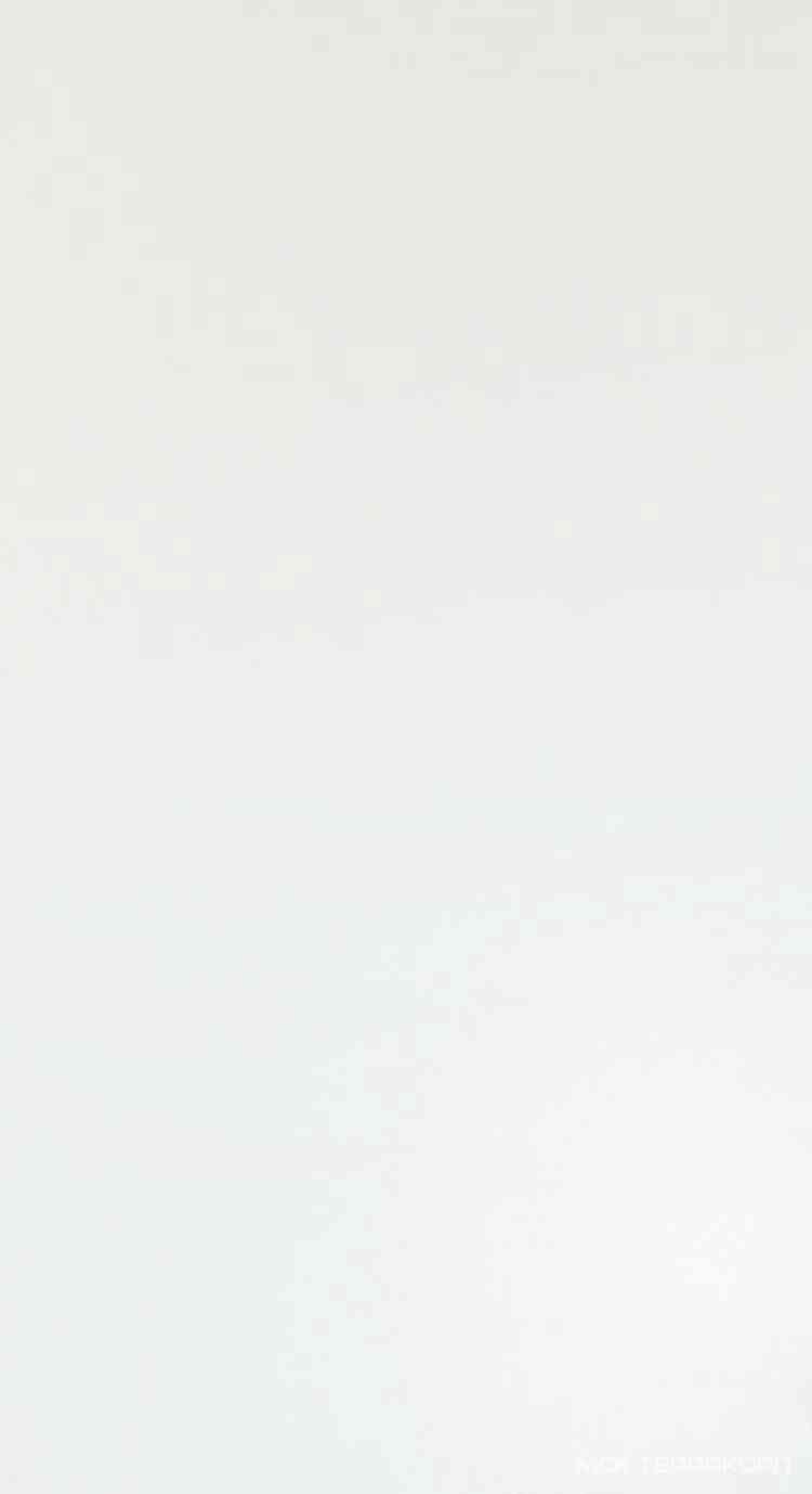 Solid White Matt 30,5x56 ZZ
