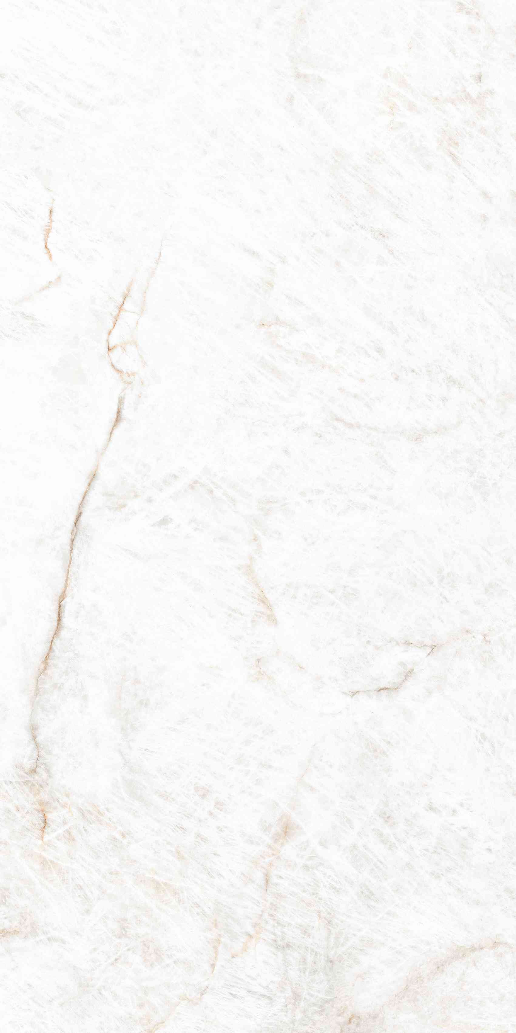 Crystal White Compacglass 60x120 Rec.