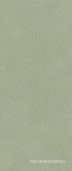 Boost Expression Olive ZZ 50x120