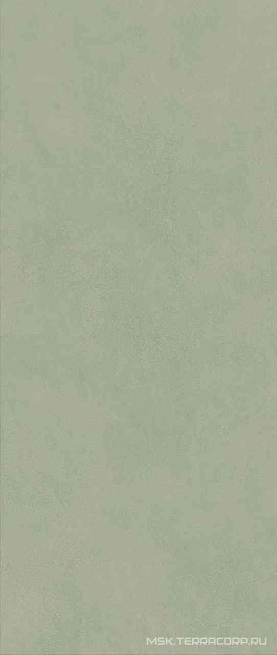 Boost Expression Olive ZZ 50x120