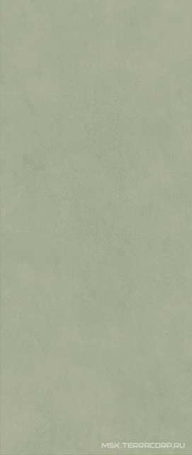 Boost Expression Olive ZZ 50x120