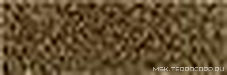 Decor Cromo Oro XX |10x30